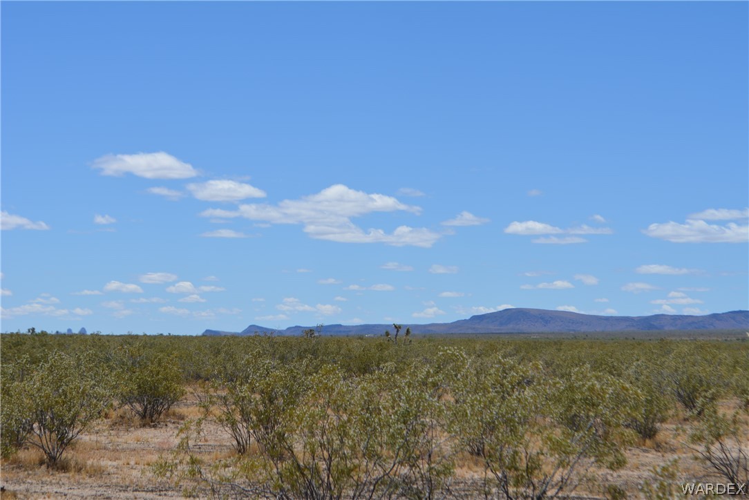 19984 South Wild Bill Road Yucca, AZ 86438 - Photo 10 of 36 Gallery Image 10