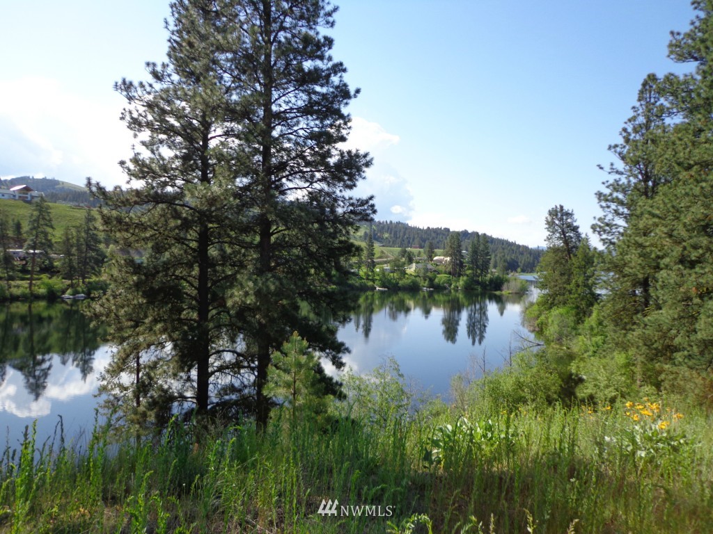 -tract B Julian Bay Road Republic, WA 99166 - Photo 11 of 13 Gallery Image 11