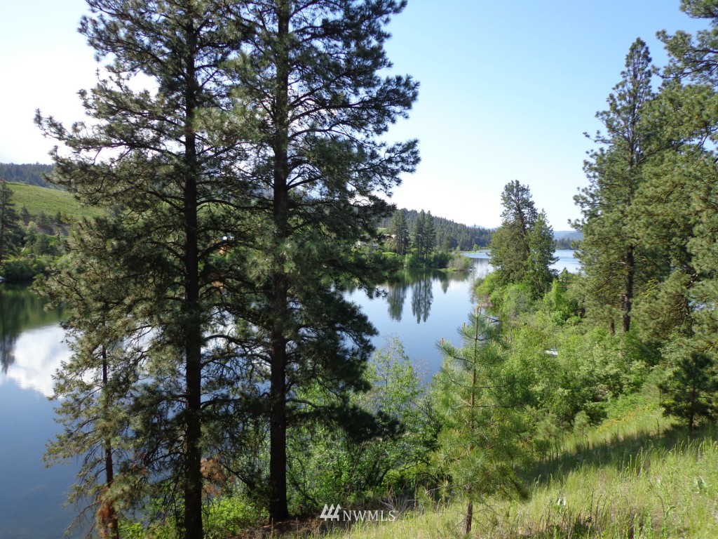 -tract B Julian Bay Road Republic, WA 99166 - Photo 12 of 13 Gallery Image 12
