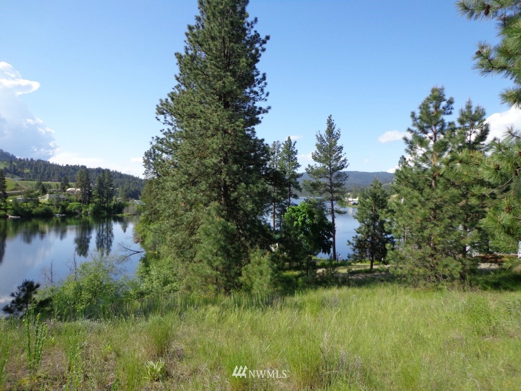 -tract B Julian Bay Road Republic, WA 99166 - Photo 13 of 13 Gallery Image 13