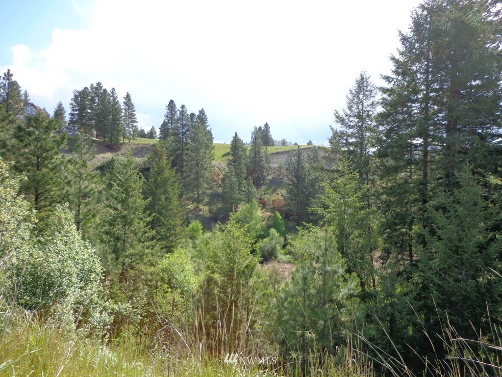 -tract B Julian Bay Road Republic, WA 99166 - Photo 9 of 13 Gallery Image 9