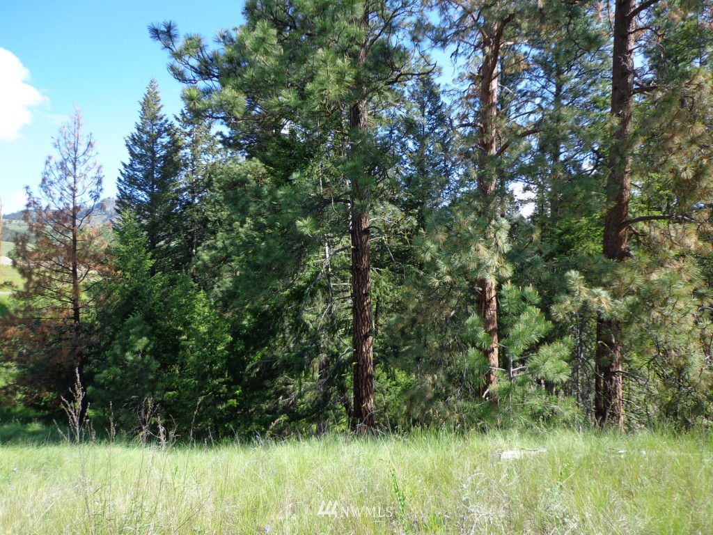 -tract B Julian Bay Road Republic, WA 99166 - Photo 10 of 13 Gallery Image 10