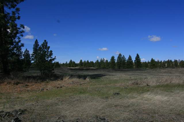 16400 West Williams Lake Road Cheney, WA 99004 - Photo 8 of 9 Gallery Image 8