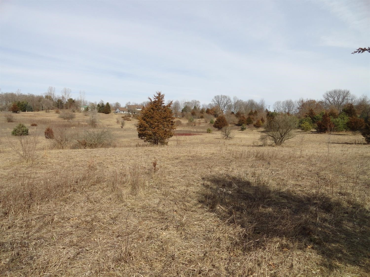 20929 Waterloo Road Chelsea, MI 48118 - Photo 7 of 10 Photo 7