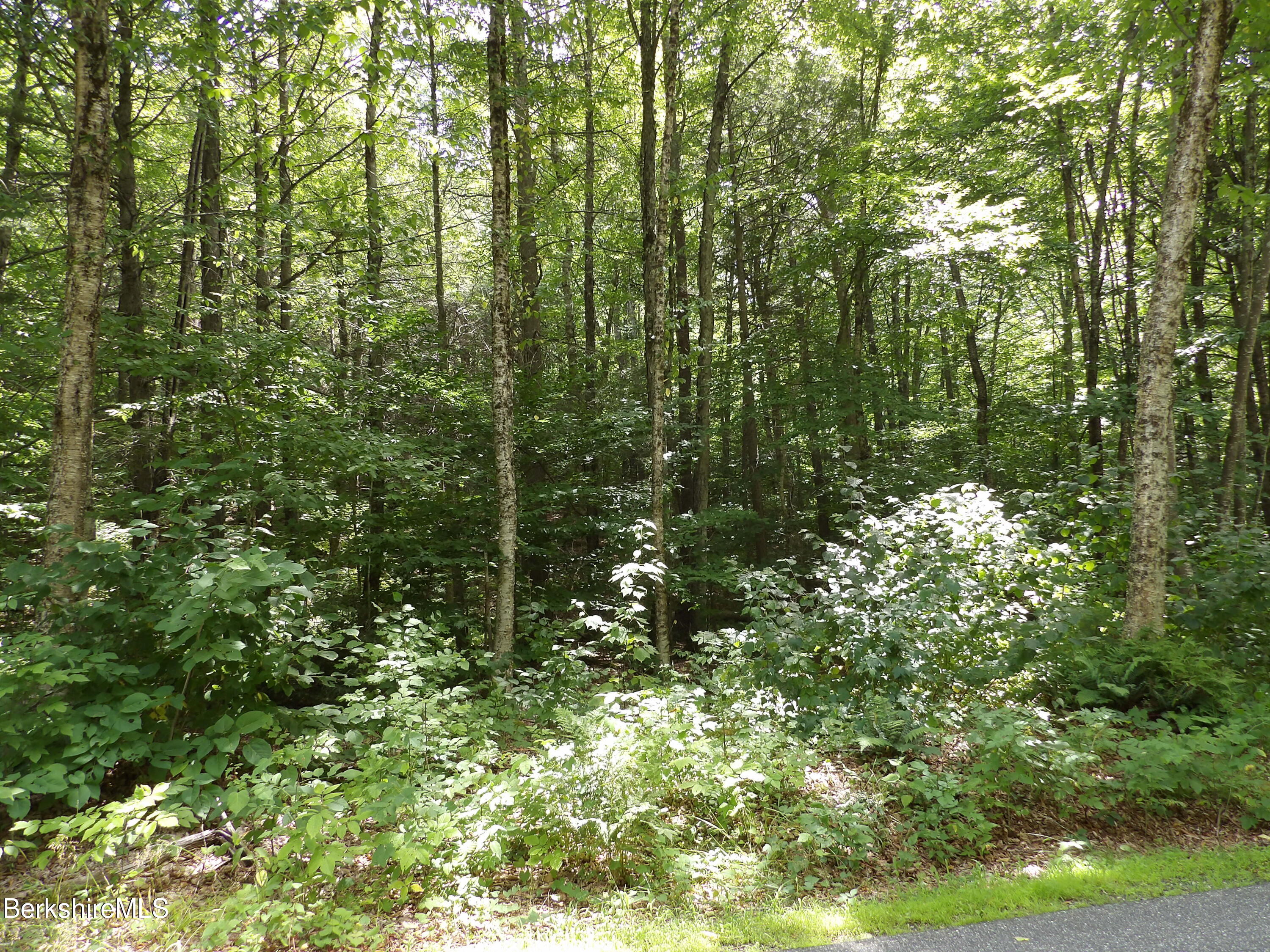 Avery Brook Road Charlemont, MA 01346 - Photo 3 of 19 101_1396