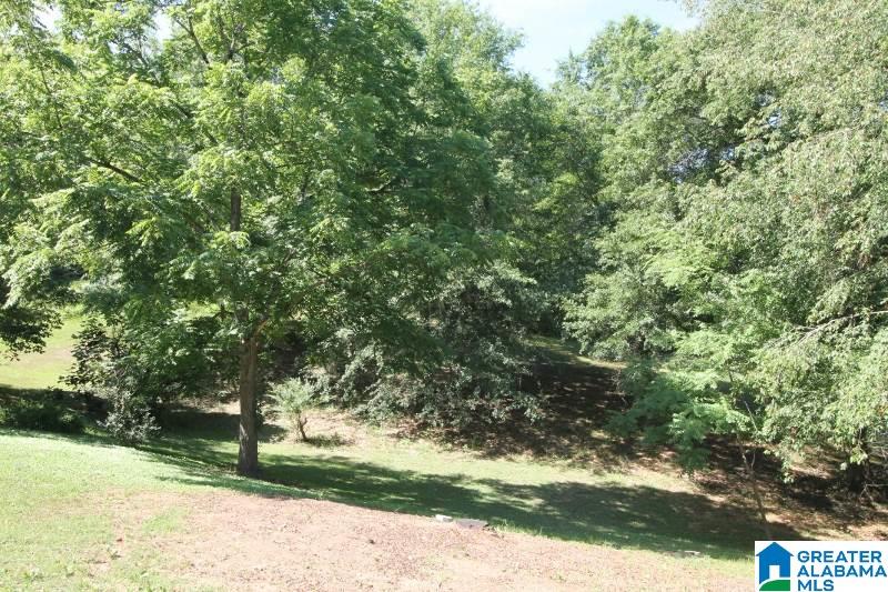 4188 Blackjack Road Trussville, AL 35173 - Photo 21 of 22