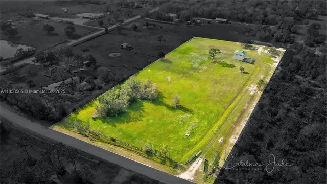 a garden with trees in the background
