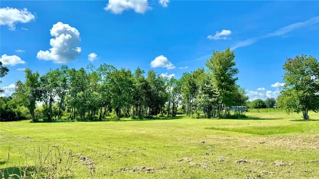 a view of a golf course with a golf course