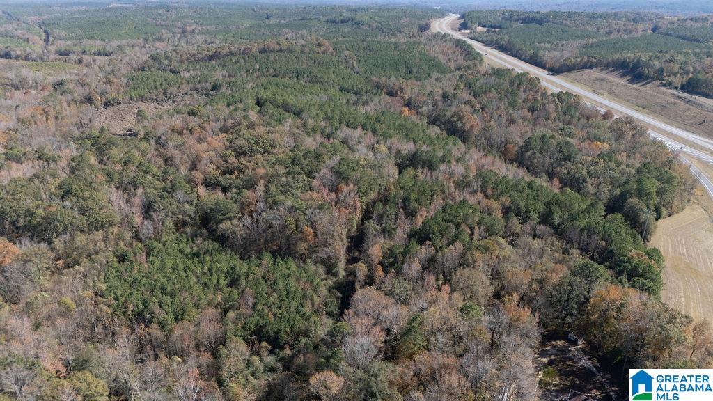 1122 Montevallo Road Centreville, AL 35042 - Photo 52 of 69