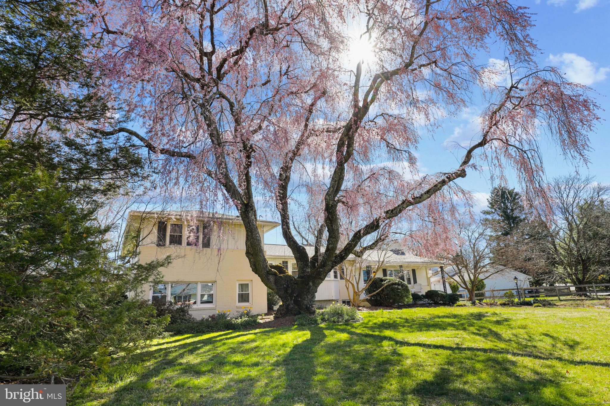 5 Dalebrook Drive Phoenix, MD 21131 - Photo 54 of 75