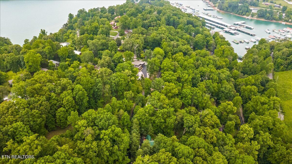 274 Pearl Road La Follette, TN 37766 - Photo 35 of 47 09-274 Pearl Rd