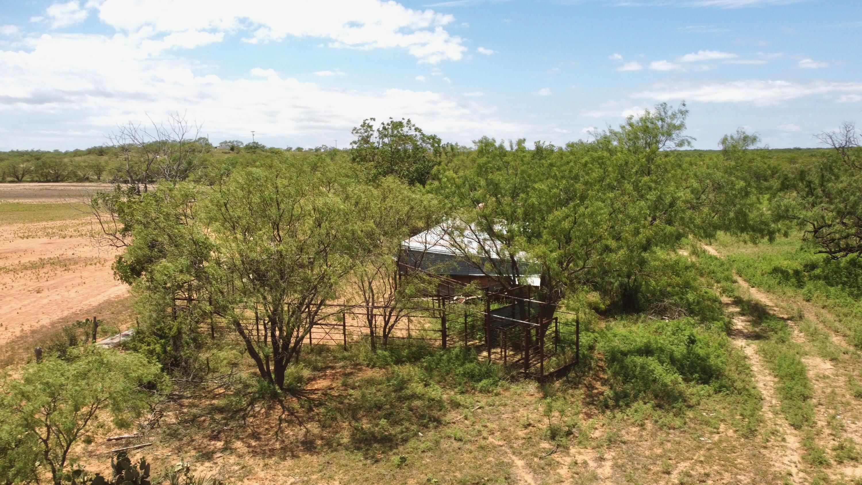 1818 County Road 267 Ballinger, TX 76821 - Photo 27 of 70 DJI_0303
