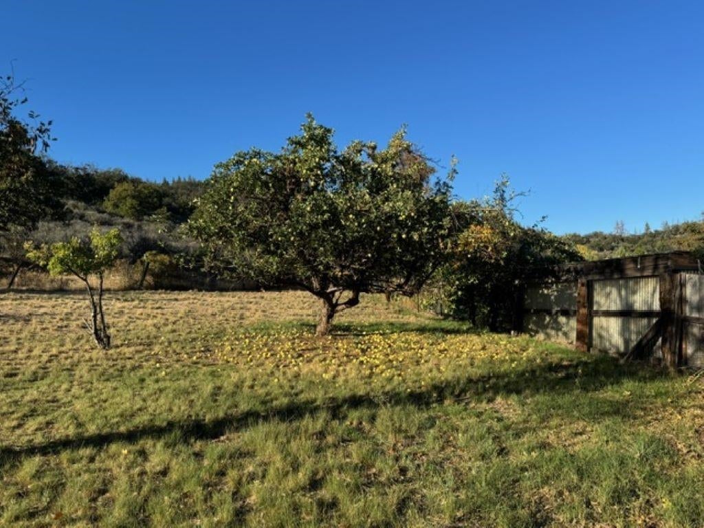 7500 Quartz Valley Road Fort Jones, CA 96032 - Photo 27 of 28 Gallery Image 27