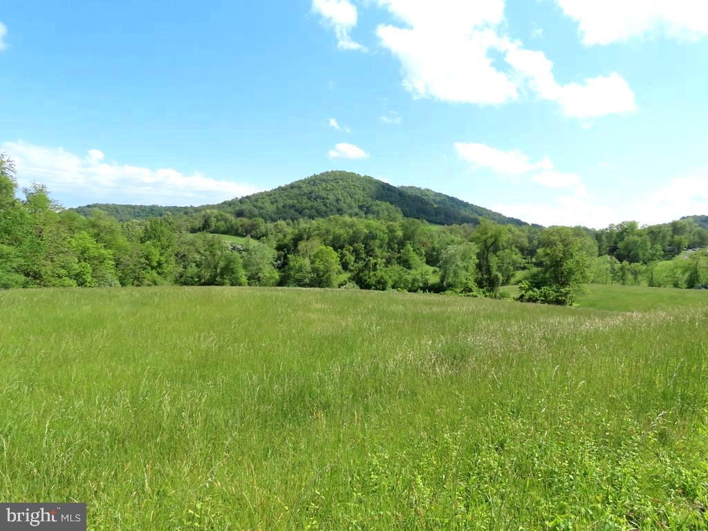 Ben Venue Road Flint Hill, VA 22627 - Photo 11 of 13 Hickerson Mountain