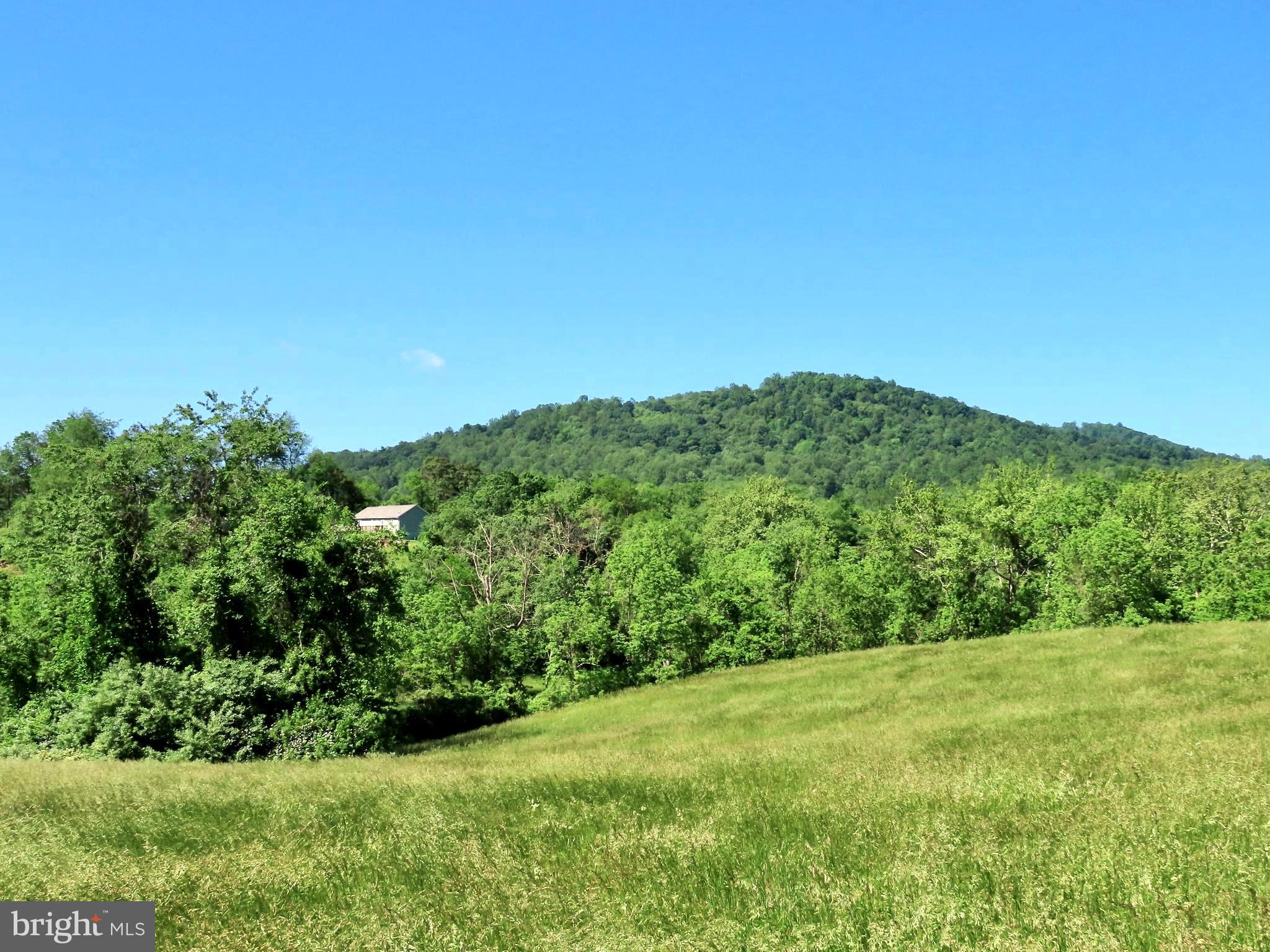 Ben Venue Road Flint Hill, VA 22627 - Photo 12 of 13 Big Mulky
