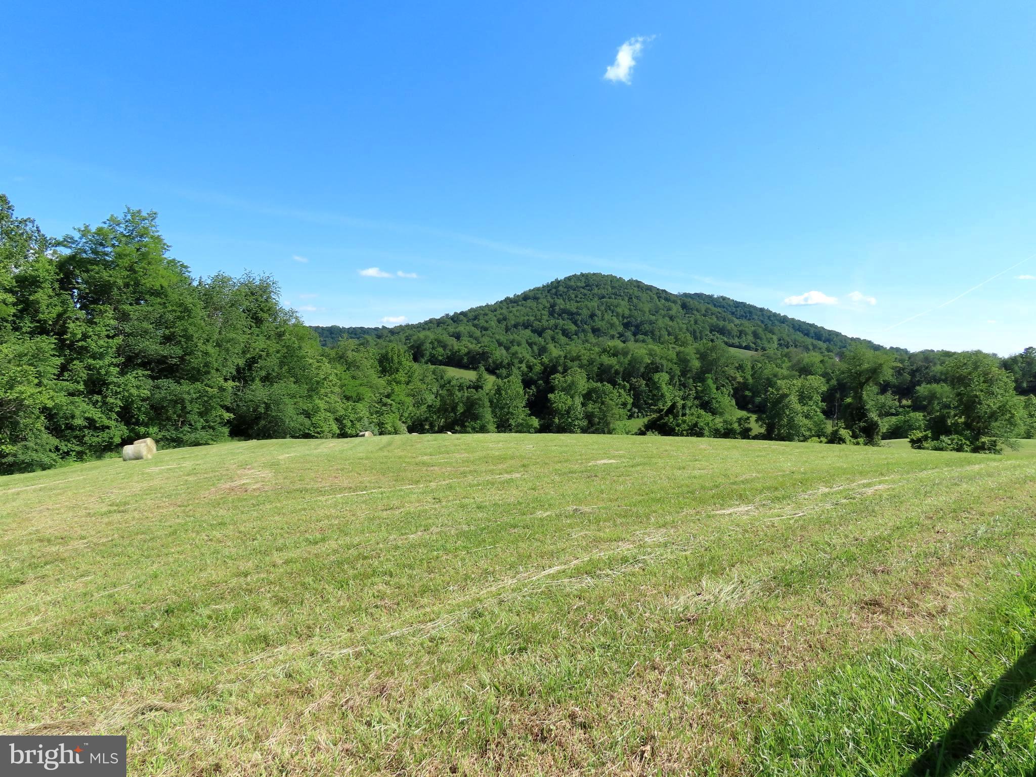 Ben Venue Road Flint Hill, VA 22627 - Photo 13 of 13 Privacy and great views