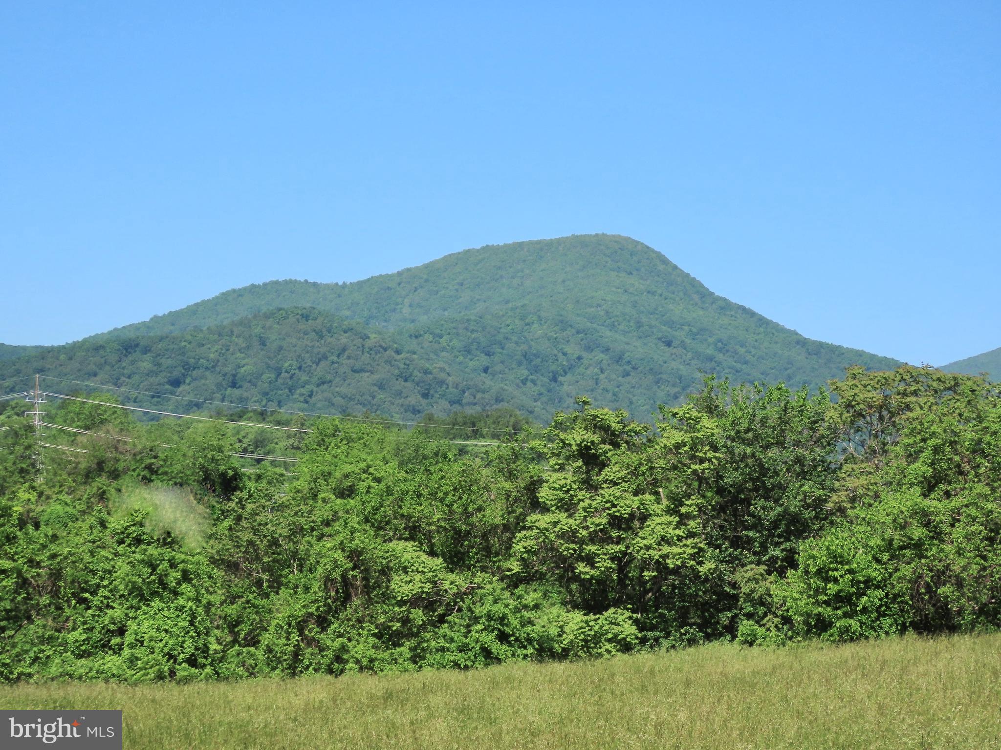 Ben Venue Road Flint Hill, VA 22627 - Photo 3 of 13
