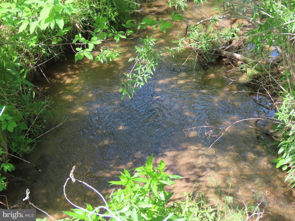 Ben Venue Road Flint Hill, VA 22627 - Photo 8 of 13 Wide Creek is long boundary