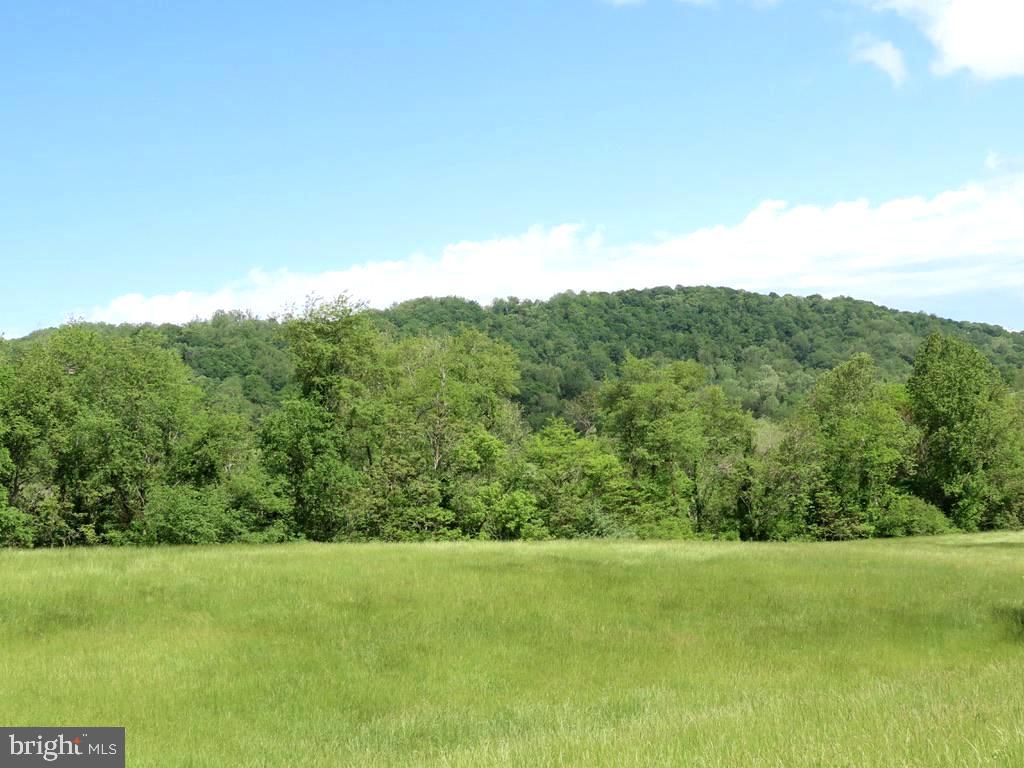Ben Venue Road Flint Hill, VA 22627 - Photo 10 of 13 Fogg Mountain