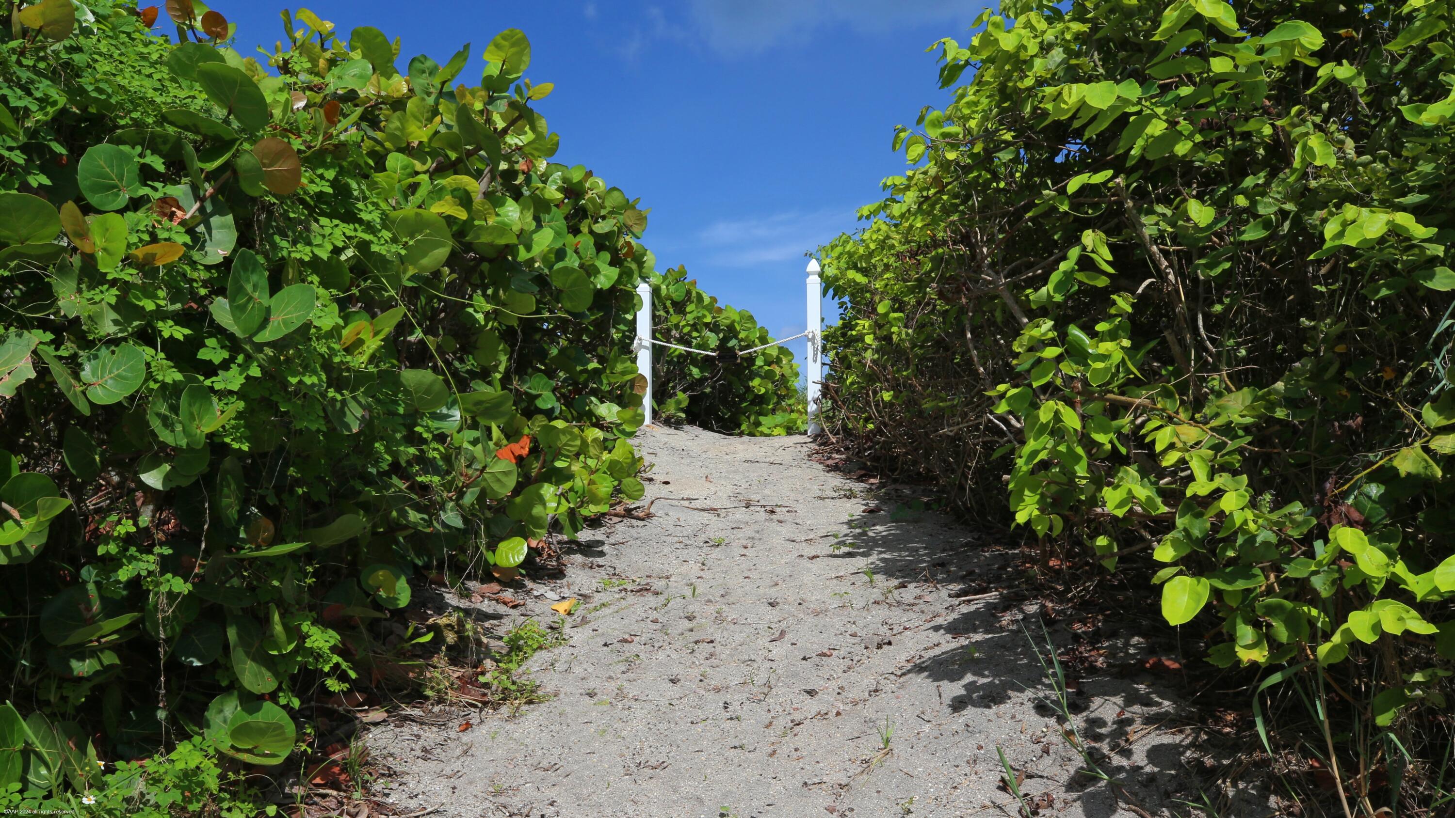 162 North Beach Road Jupiter Island, FL 33455 - Photo 66 of 73 162 North Beach Rd 068