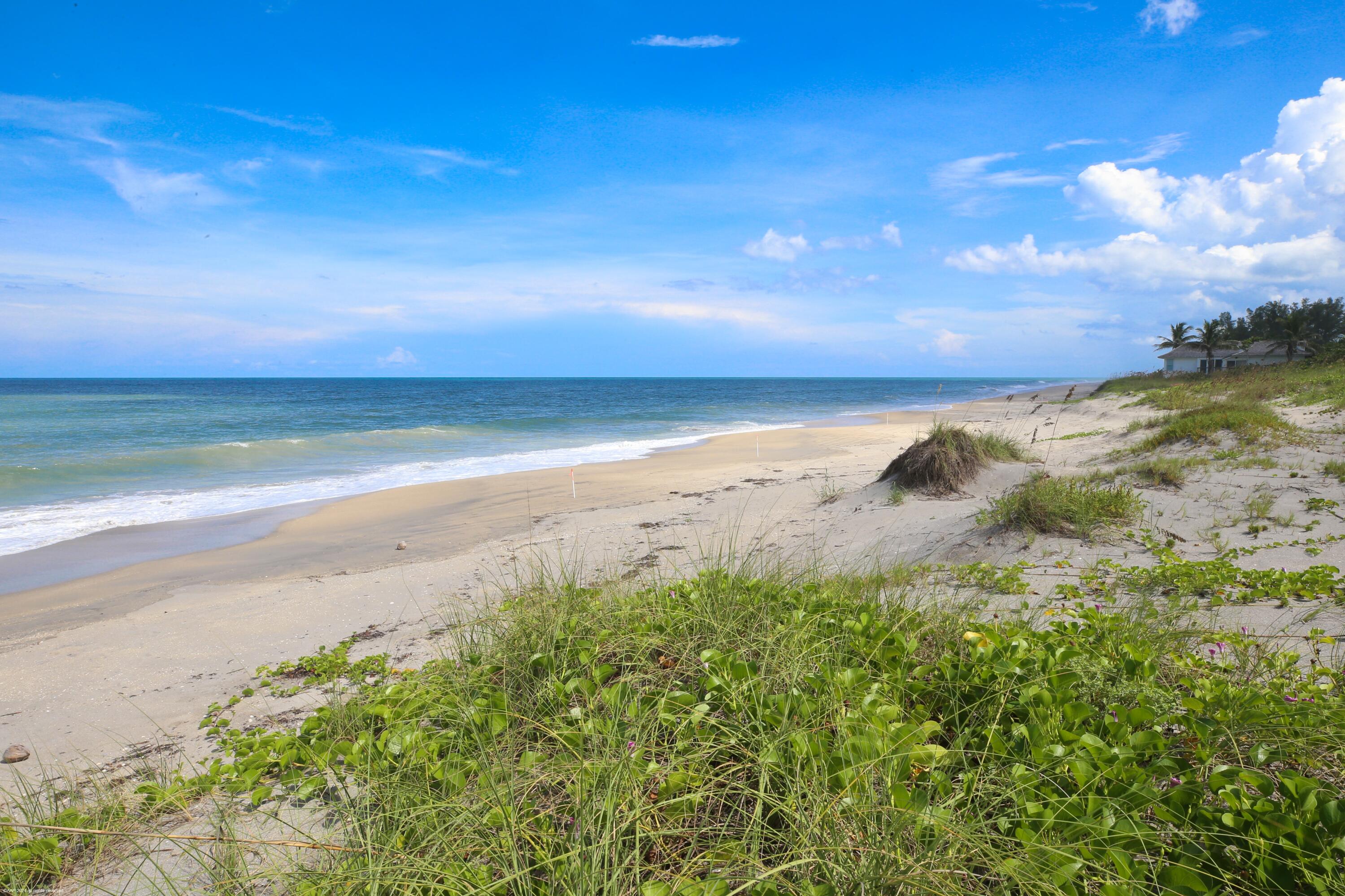 162 North Beach Road Jupiter Island, FL 33455 - Photo 68 of 73 162 North Beach Rd 070