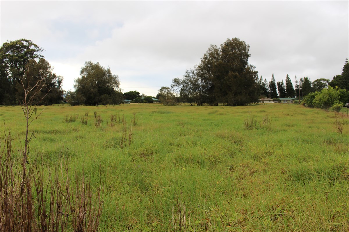 64-5228 Lot 6 White Road Kamuela, HI 96743 - Photo 6 of 9 Gallery Image 6