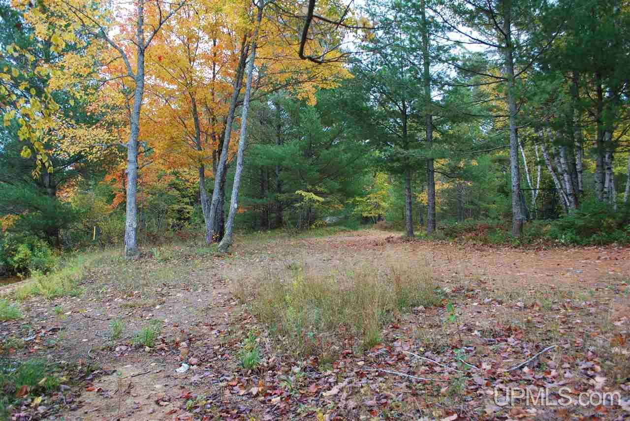 Tbd Little Rice Lake Rd (lot 18), Unit 18 Lake Linden, MI 49945 - Photo 20 of 34