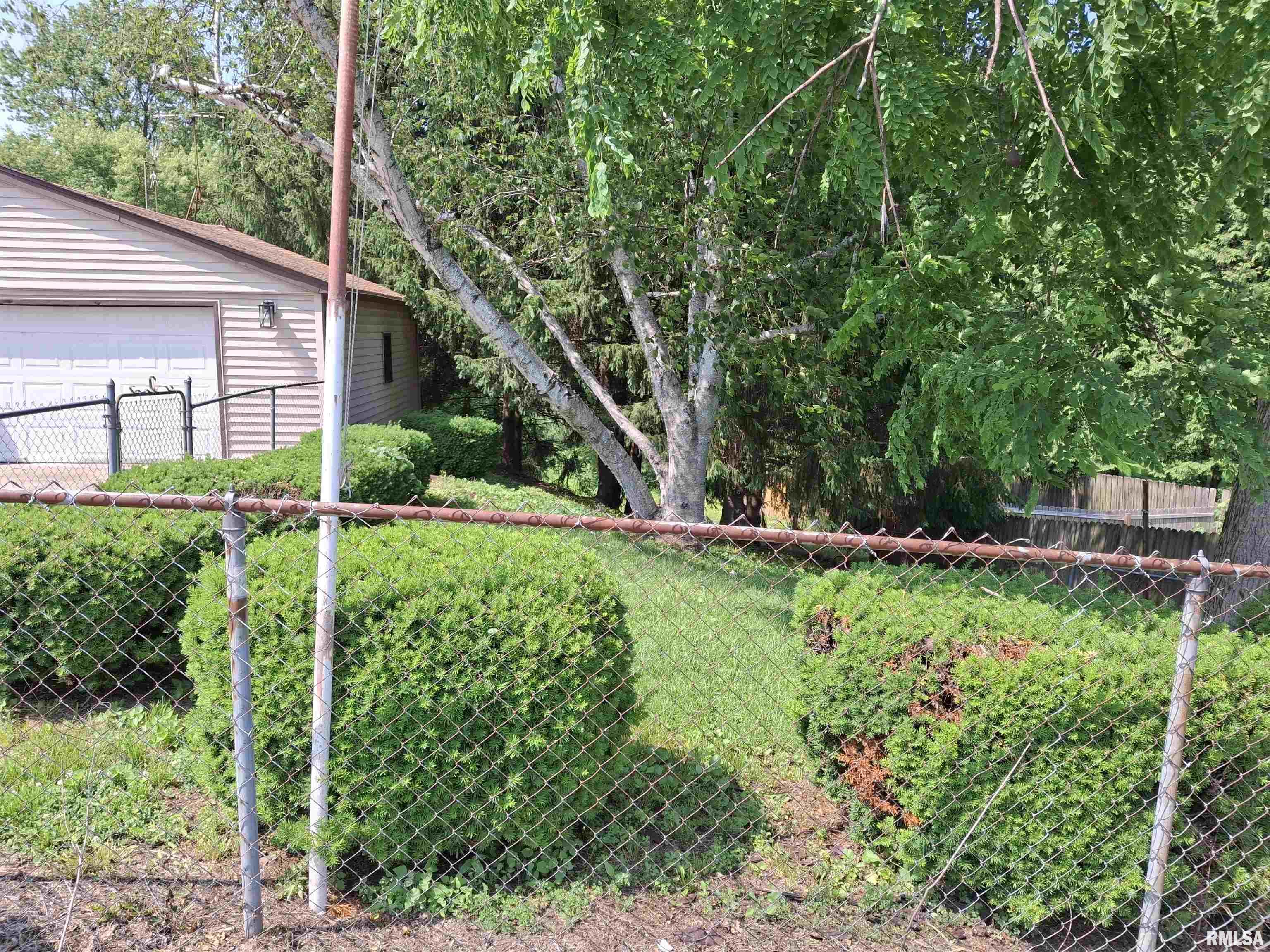 300 4th Street St. David, IL 61563 - Photo 2 of 46