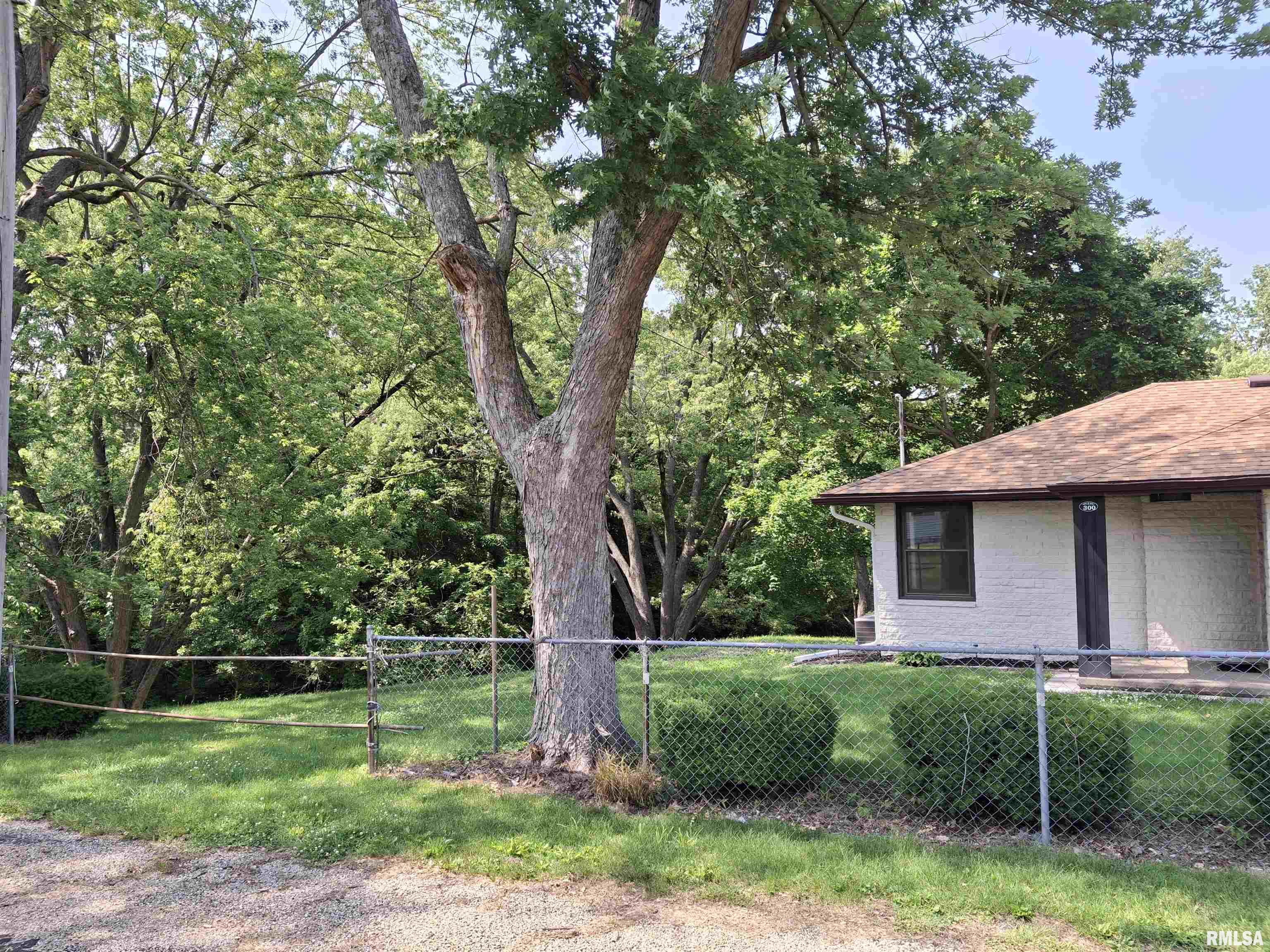 300 4th Street St. David, IL 61563 - Photo 3 of 46