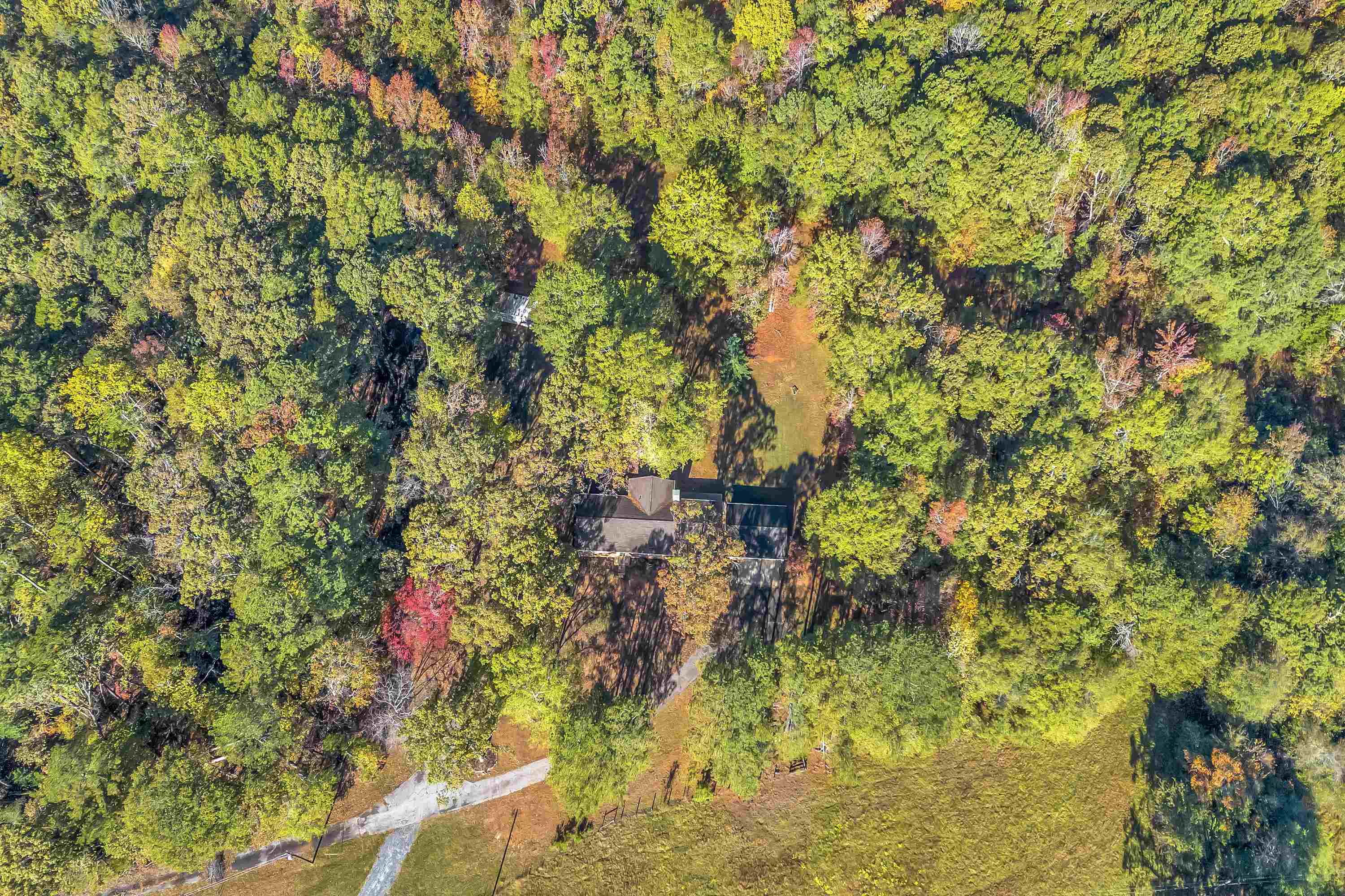 145 Rogers Farm Road Woodruff, SC 29388 - Photo 30 of 44 Gallery Image 30