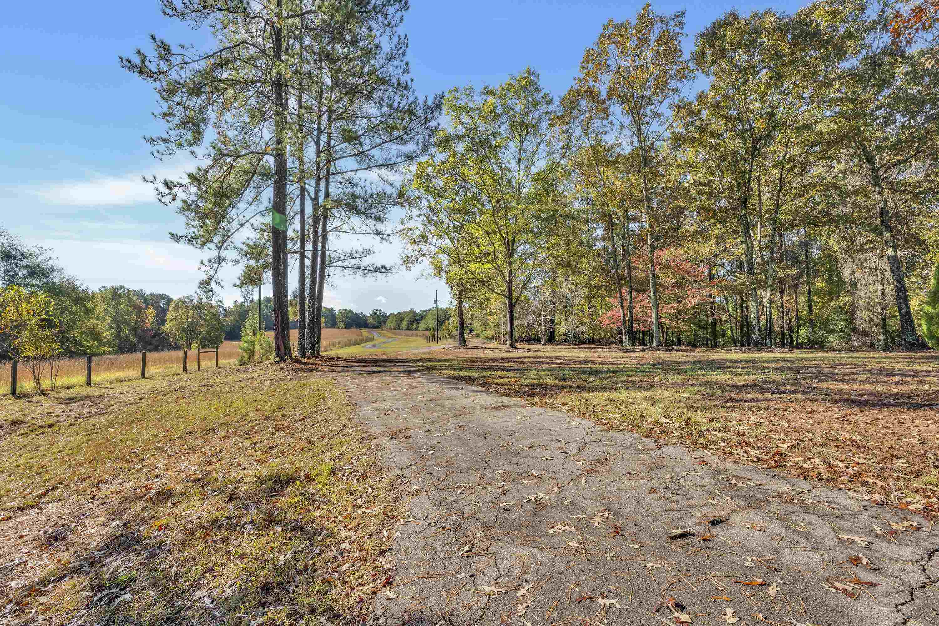 145 Rogers Farm Road Woodruff, SC 29388 - Photo 35 of 44 Gallery Image 35