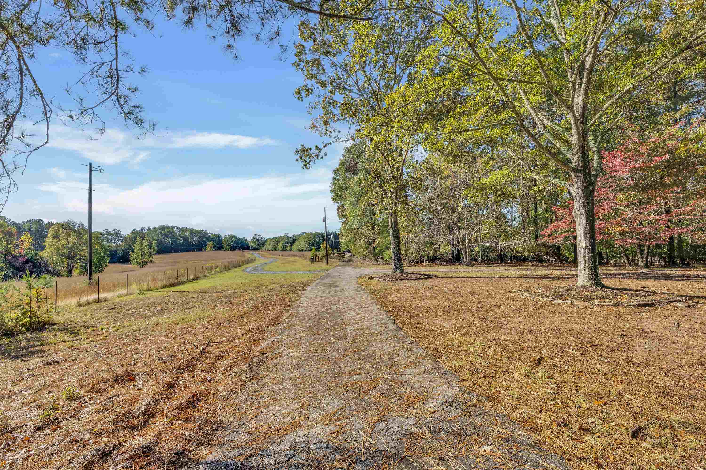 145 Rogers Farm Road Woodruff, SC 29388 - Photo 36 of 44 Gallery Image 36