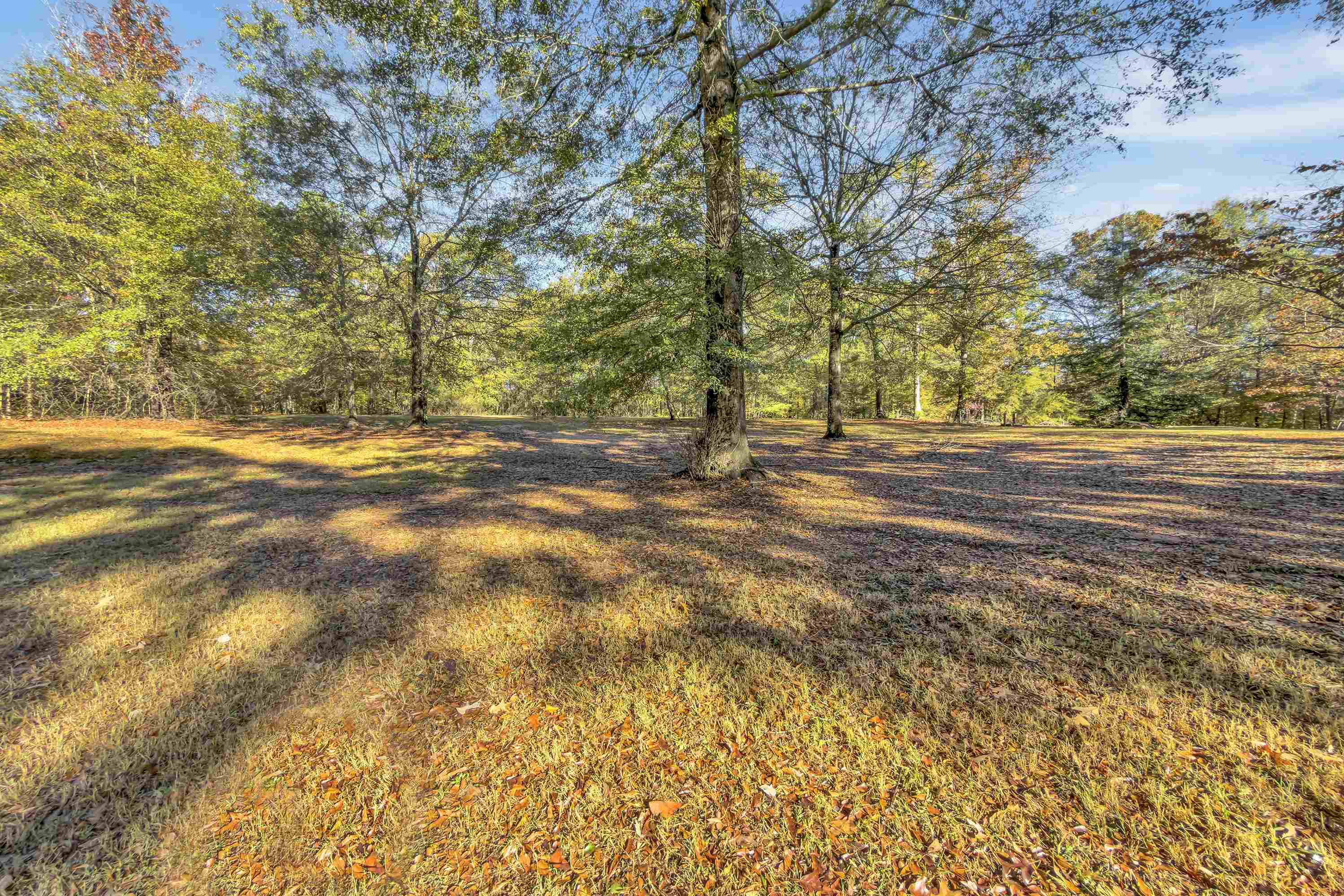 145 Rogers Farm Road Woodruff, SC 29388 - Photo 39 of 44 Gallery Image 39