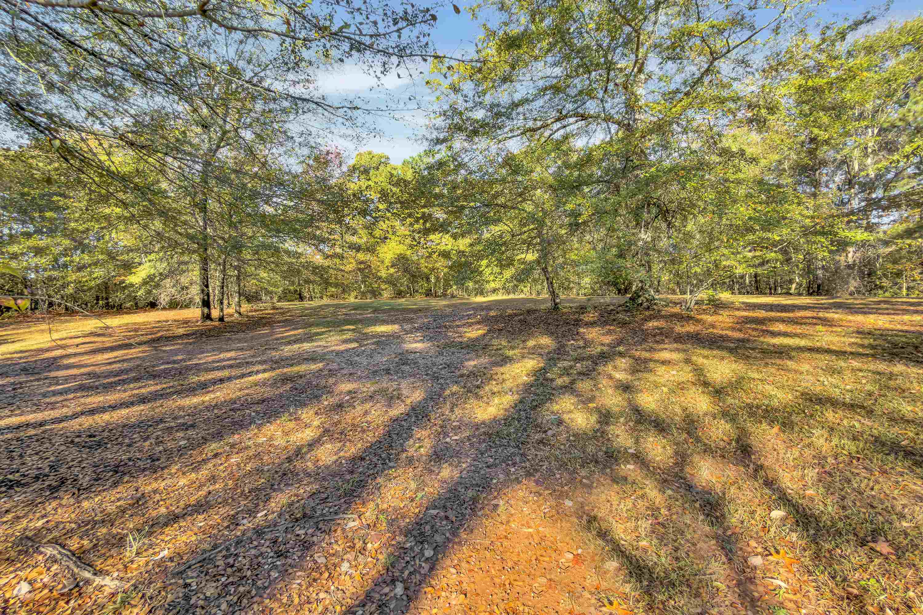 145 Rogers Farm Road Woodruff, SC 29388 - Photo 41 of 44 Gallery Image 41