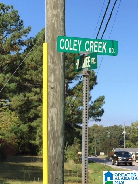 280 Saltsman Road, Unit 80± ACRES Alexander City, AL 35010 - Photo 15 of 17