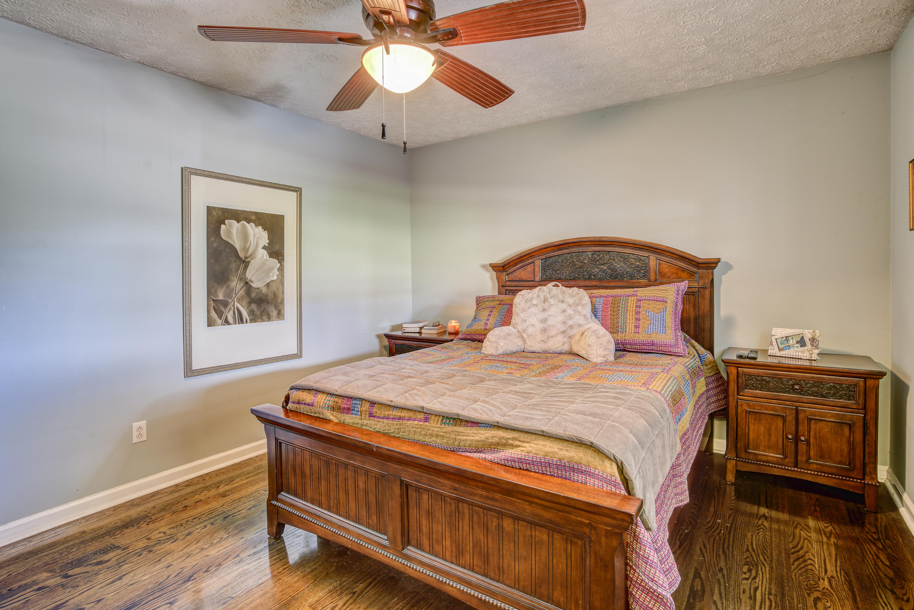 3220 Knob Creek Road Gray, TN 37615 - Photo 26 of 64 Master BR