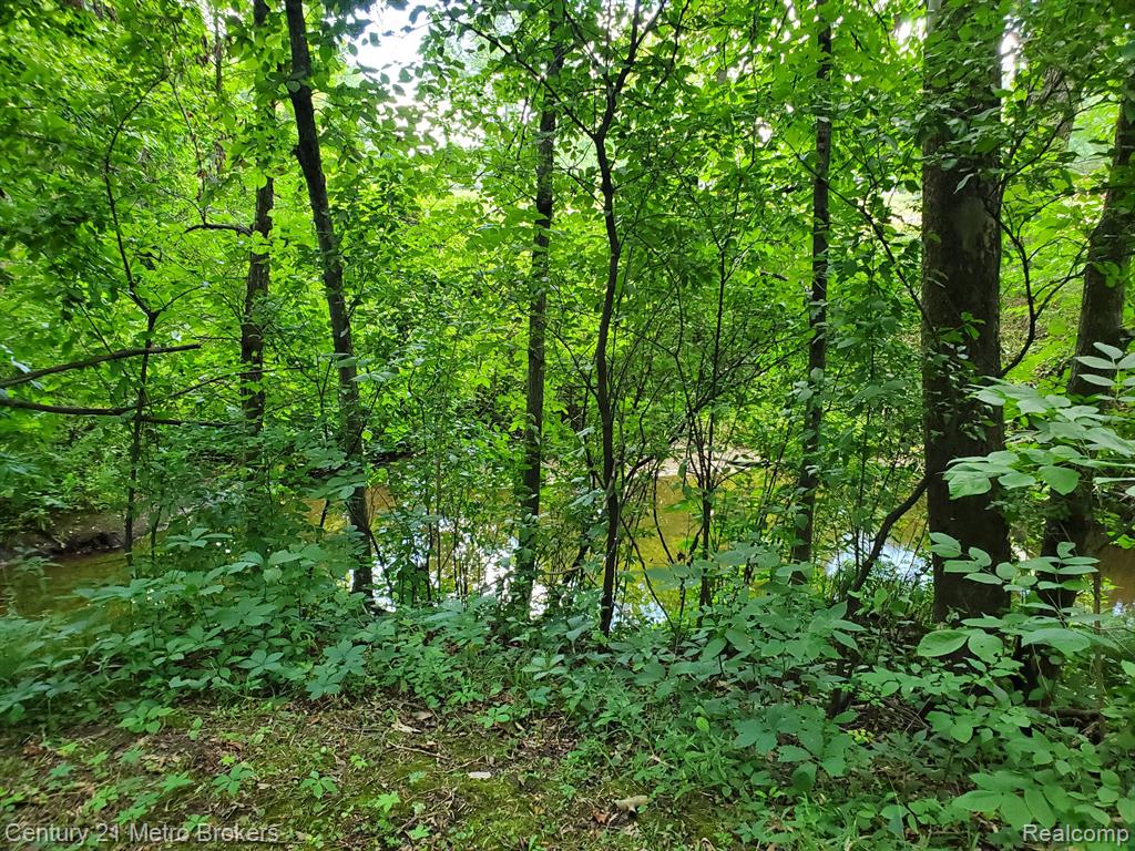 4620 Mt Morris Road Columbiaville, MI 48421 - Photo 2 of 24