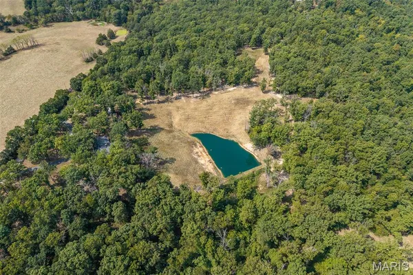 $650,000 | 14675 Edison Road, Lebanon, MO 65536