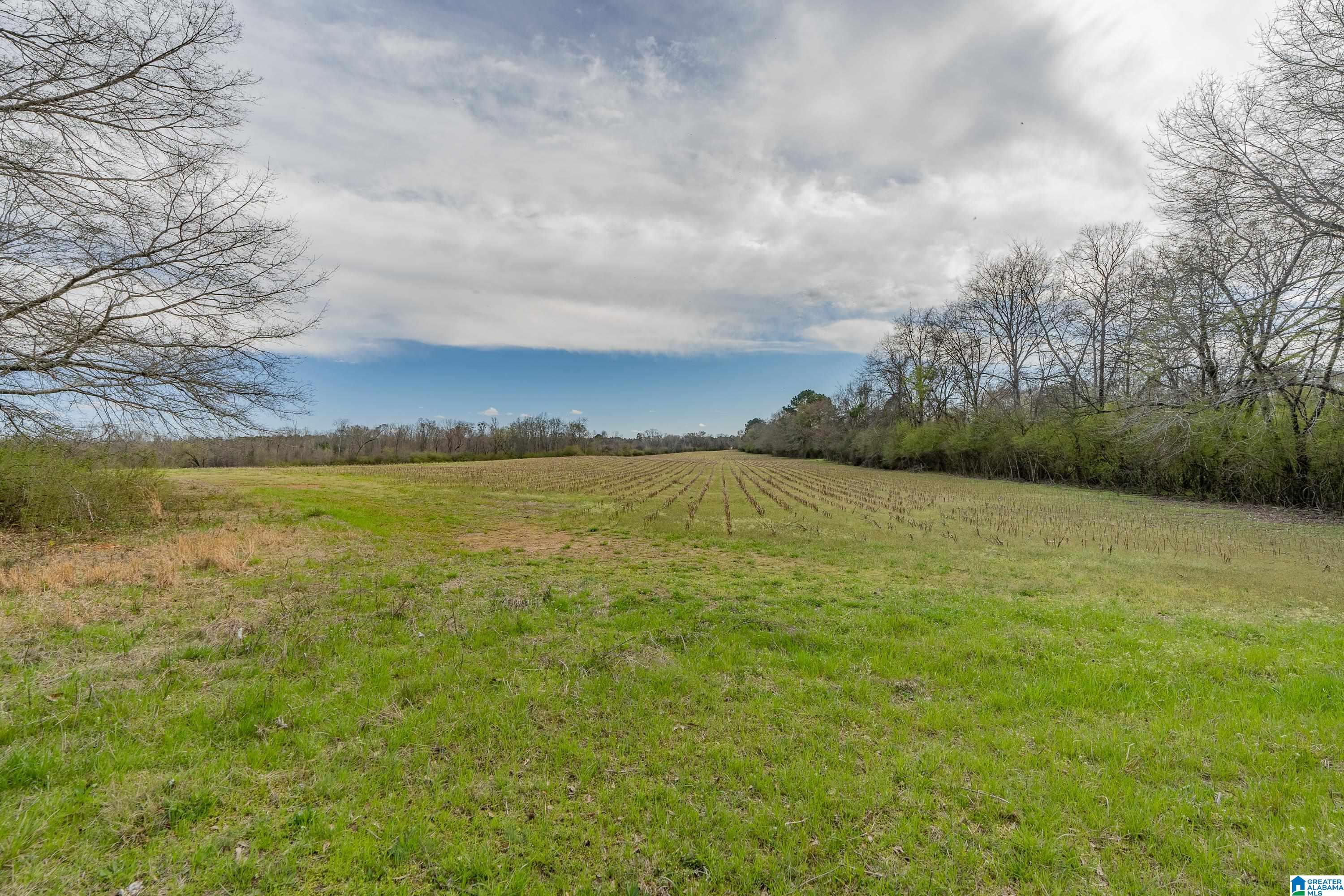 Bates Road, Unit 100 Vincent, AL 35178 - Photo 19 of 29