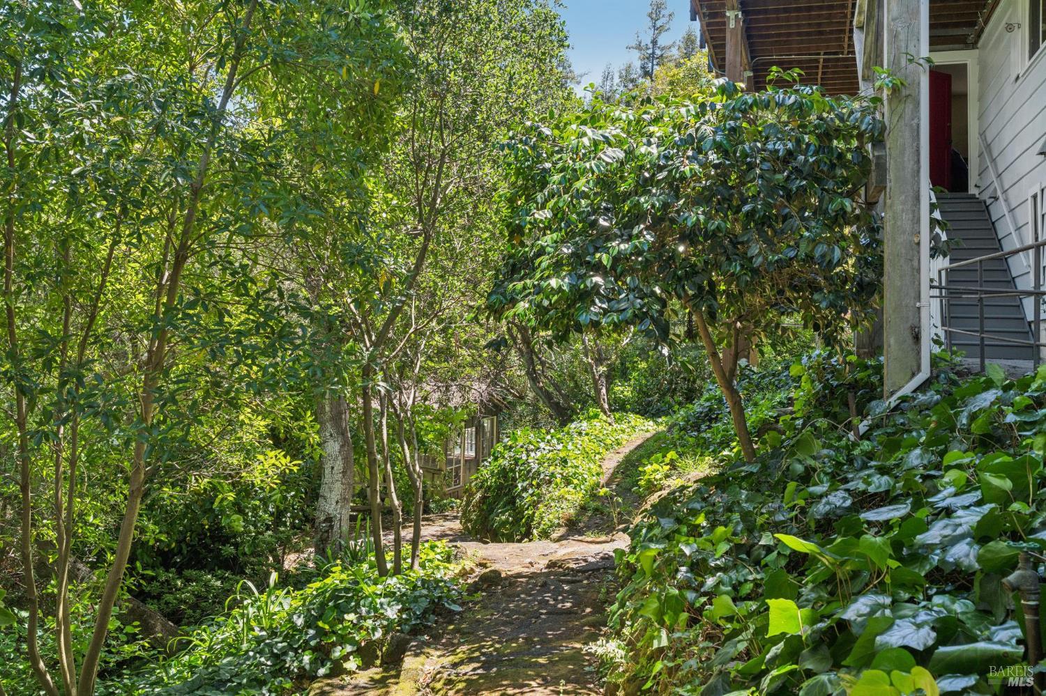 500 Summit Avenue Mill Valley, CA 94941 - Photo 22 of 25