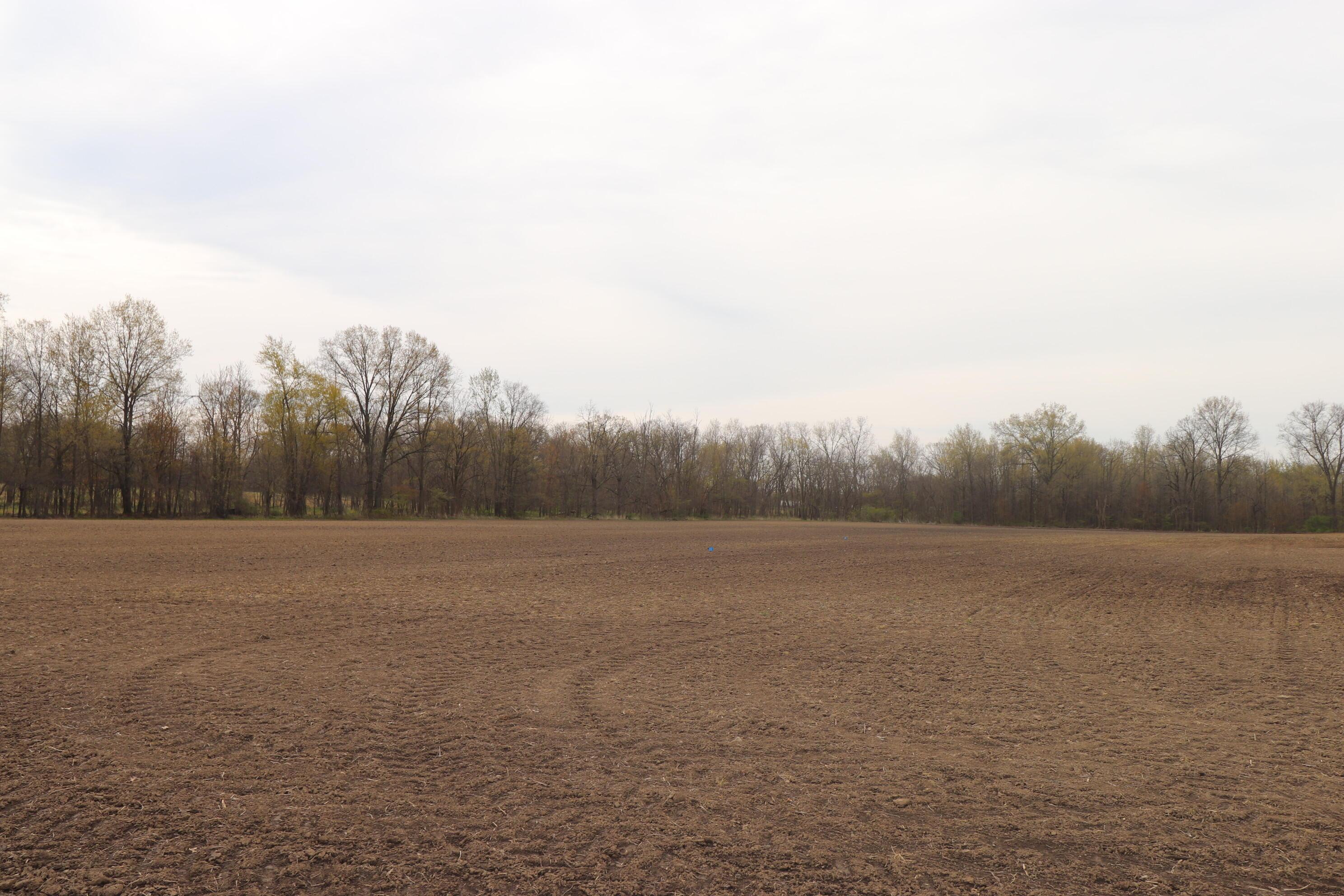 10 Kilbourne Road Sunbury, OH 43074 - Photo 9 of 11