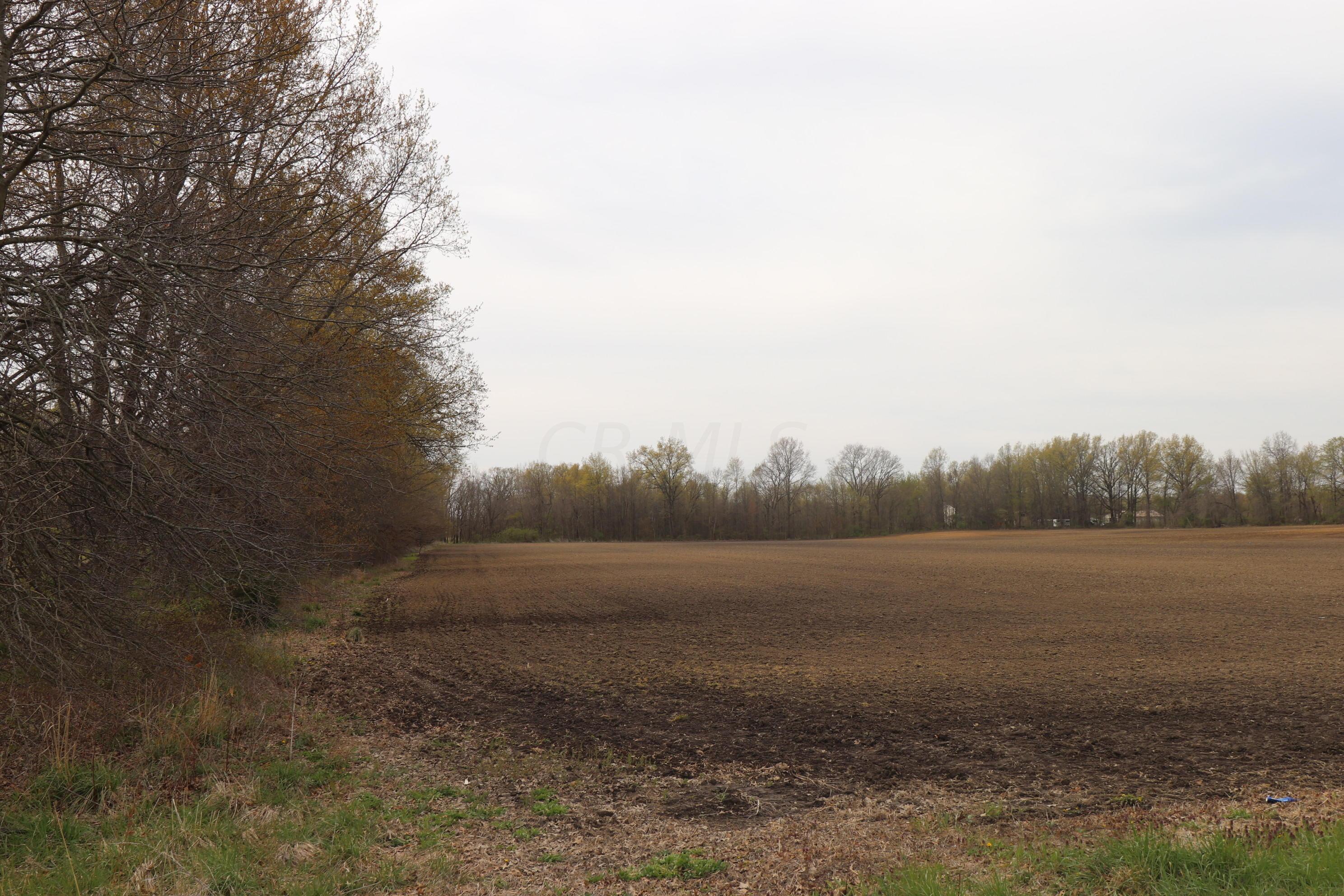 10 Kilbourne Road Sunbury, OH 43074 - Photo 10 of 11