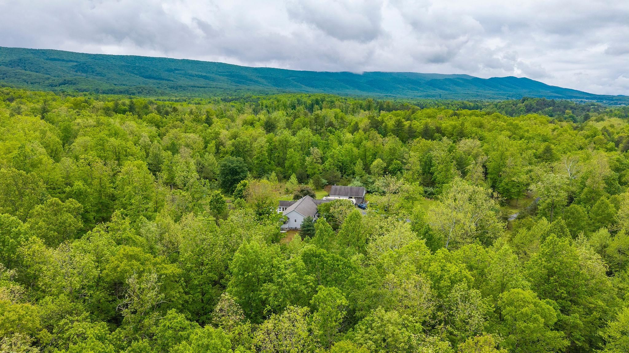 516 Estaline Valley Road Craigsville, VA 24430 - Photo 69 of 75