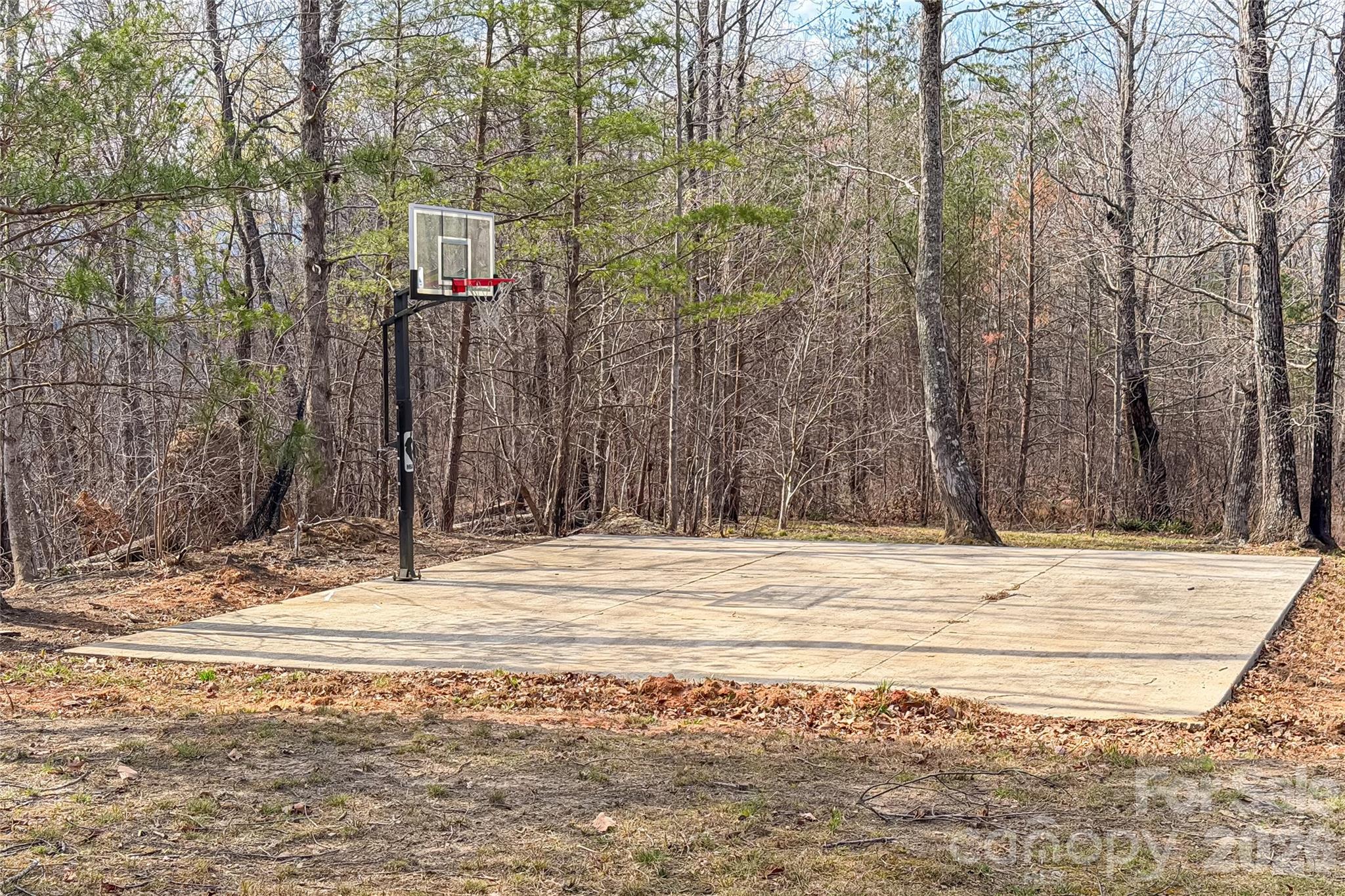 117 North Boundary Road Mill Spring, NC 28756 - Photo 9 of 14 a view of a backyard of a house