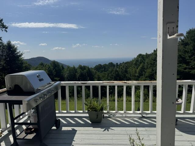 86 Sugar Loaf Road Fancy Gap, VA 24328 - Photo 61 of 65 Gallery Image 61