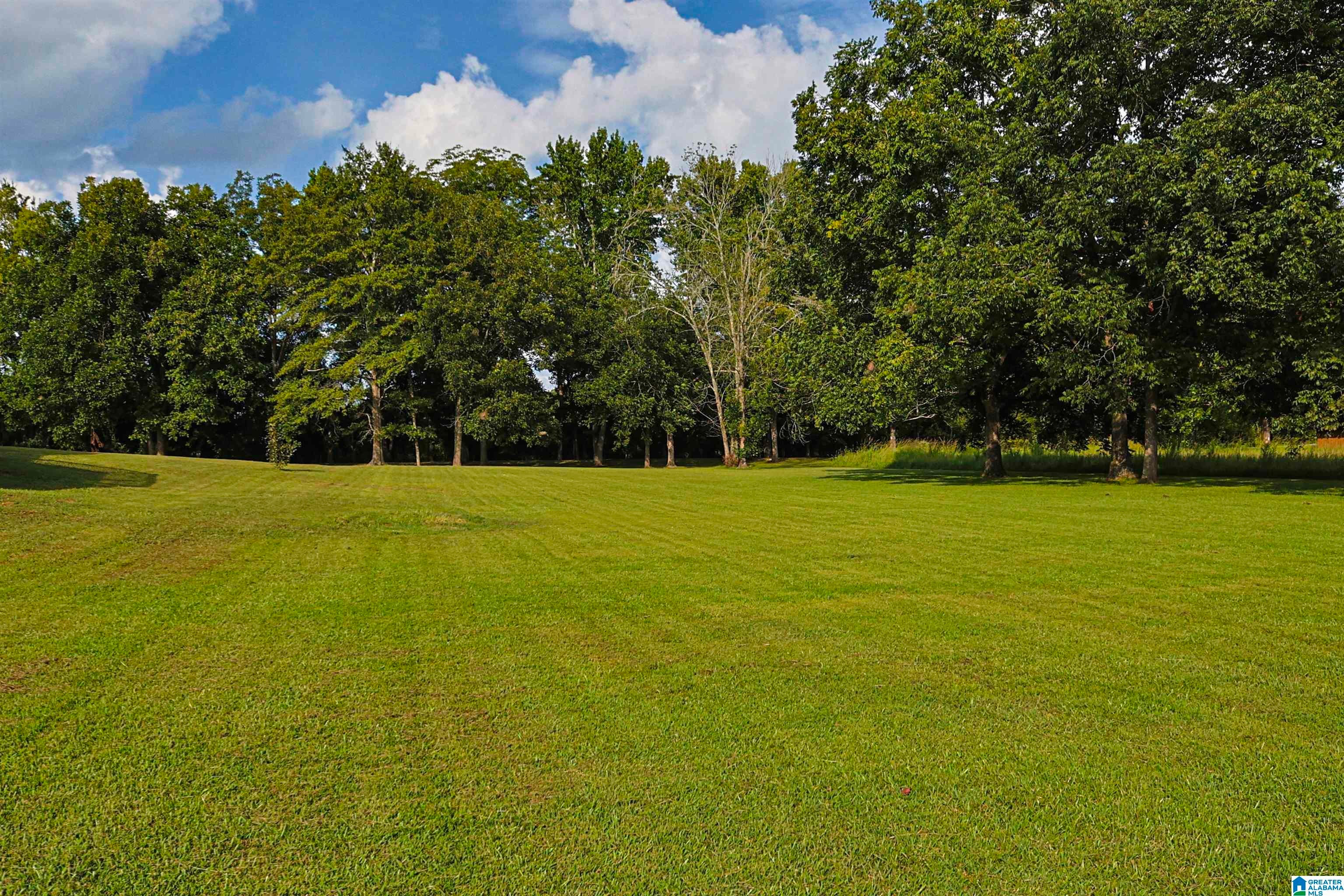 5149 Green Valley Road Southside, AL 35907 - Photo 69 of 74 Gallery Image 69