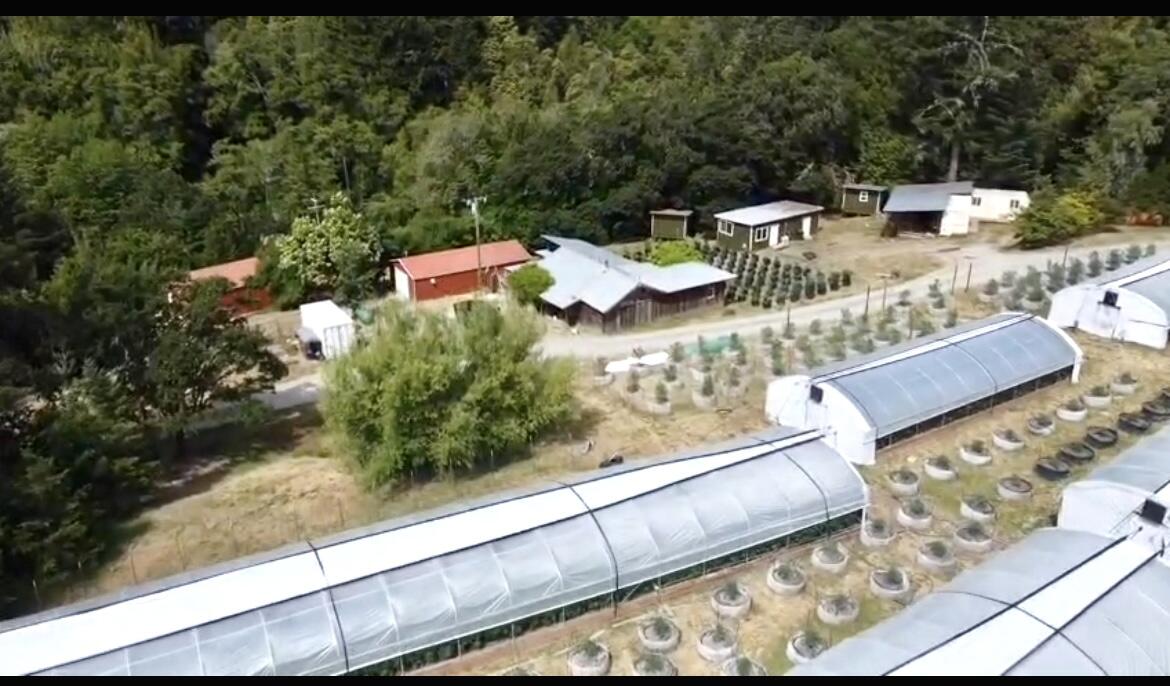 35082 Alderpoint Road Blocksburg, CA 95514 - Photo 9 of 71