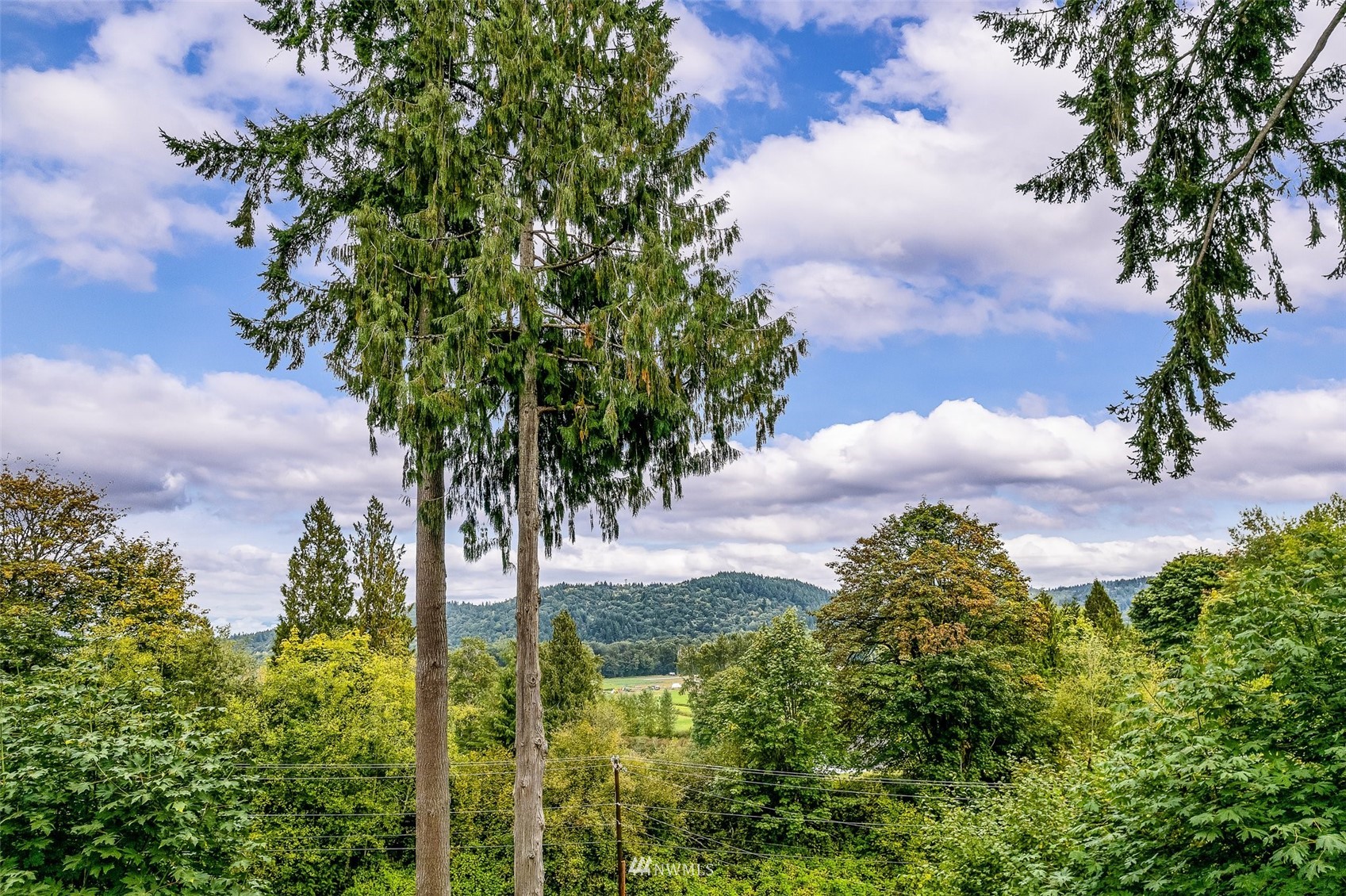 10302 Elliott Road Snohomish, WA 98296 - Photo 18 of 24
