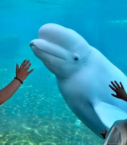 $5,000 | 14 Godfrey Street, Groton, CT 06355