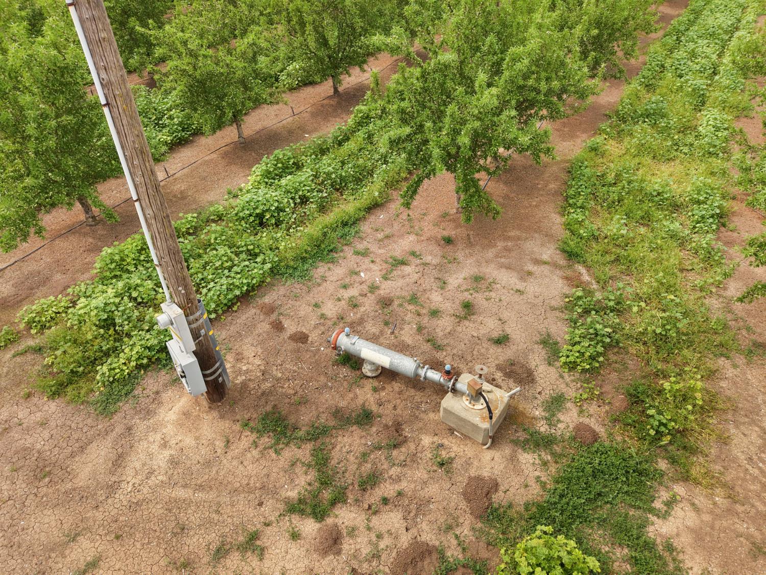19753 East Oakwood Road Stockton, CA 95215 - Photo 12 of 19 a view of a pathway both side of yard